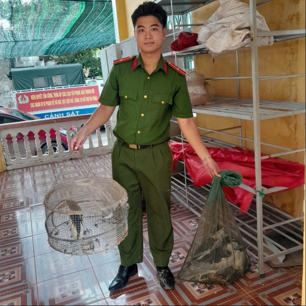 Xử phạt hành vi nuôi, nhốt trái phép động vật hoang dã tại xã Đông Thụy Anh