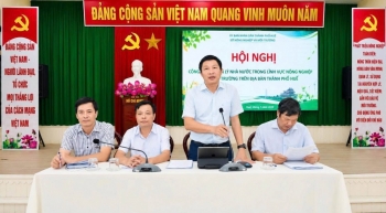 Tp. Huế: Nâng cao hiệu quả quản lý vì phát triển xanh và bền vững