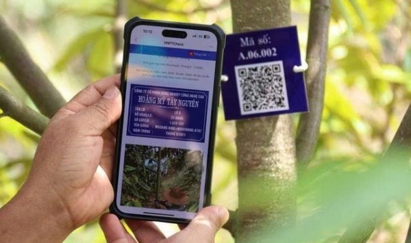 Tăng cường triển khai cấp mã số vùng trồng, cơ sở đóng gói, mở rộng cơ hội xuất khẩu