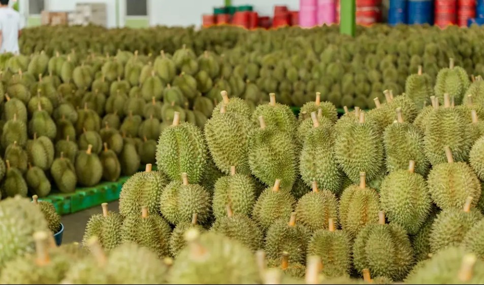 duong sat lanh keo gia sau rieng tai trung quoc xuong thap