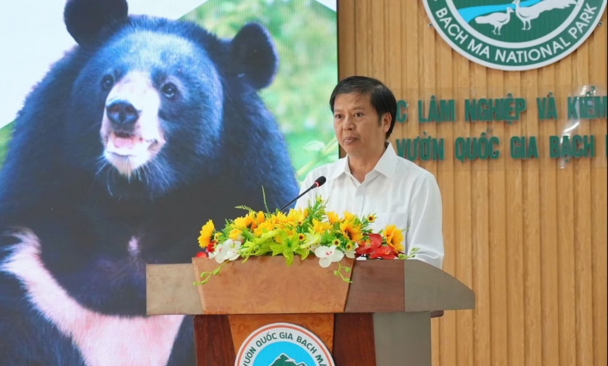 TS. Nguyễn Vũ Linh