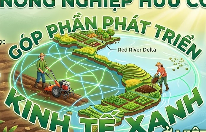 nong nghiep huu co gop phan phat trien kinh te xanh o viet nam