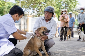 Đồng Tháp siết quản lý chó, mèo, quyết liệt phòng chống bệnh Dại