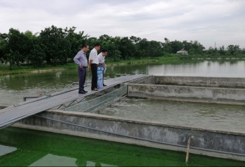 Hà Nội: Diện tích nuôi trồng thủy sản sau 8 tháng đạt 23.000ha