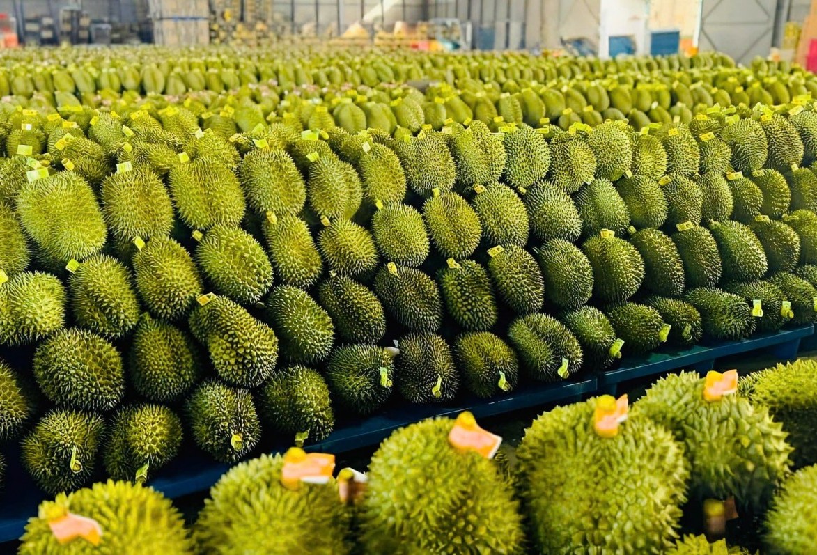 thao go kho khan trong quan ly sau rieng va phat trien nuoi trong thuy san