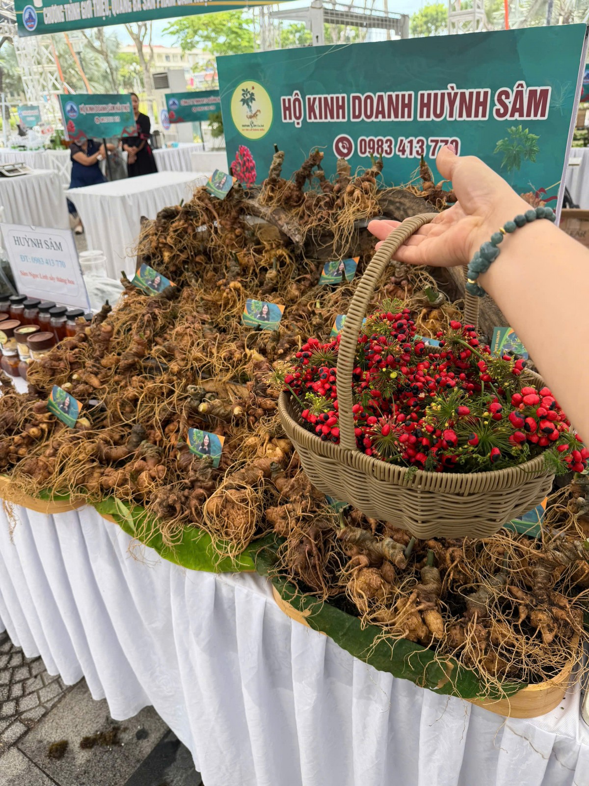 Huỳnh Sâm 'chắp cánh