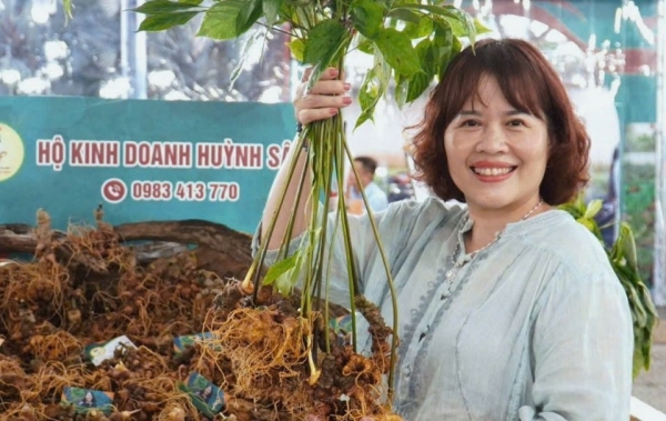 Huỳnh Sâm 'chắp cánh" đưa sâm Ngọc Linh vươn xa