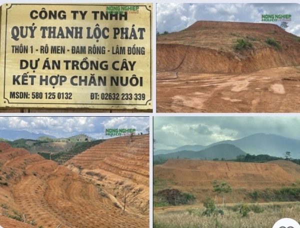 Lâm Đồng: Làm rõ trách nhiệm đối với một số Hạt Kiểm lâm do để xảy ra nhiều vụ phá rừng