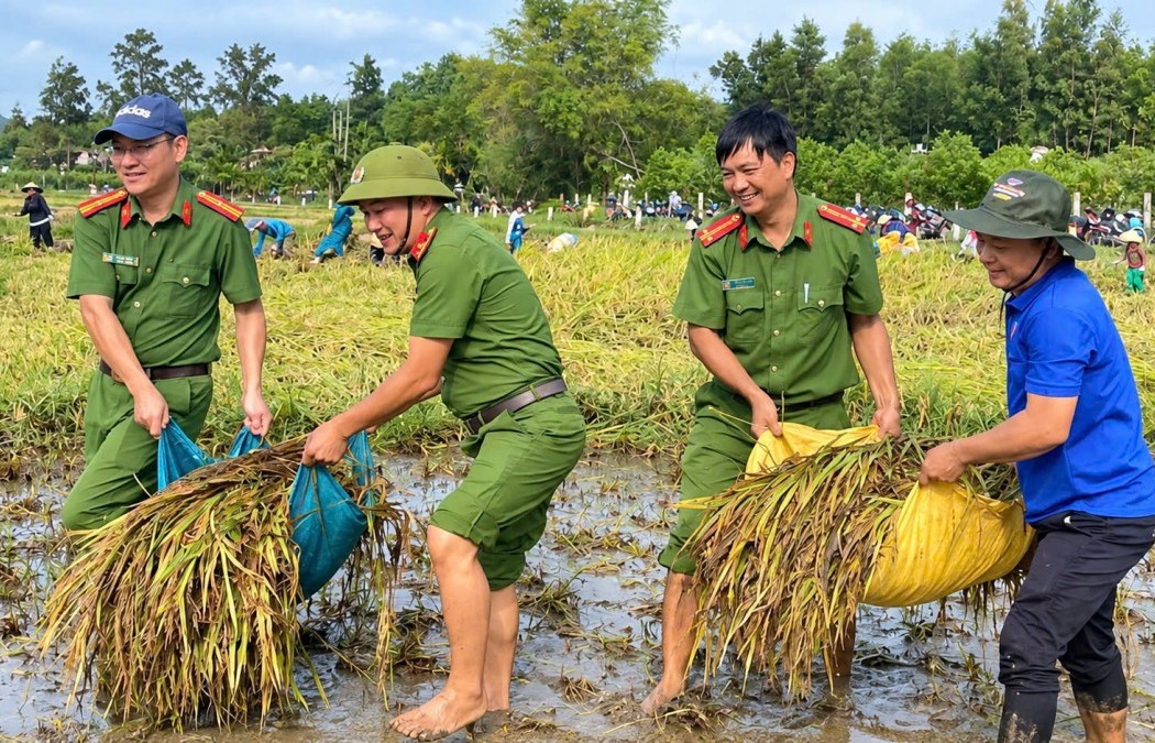 mua lon quat nga lua ca xa loi bun chay dua voi thoi tiet