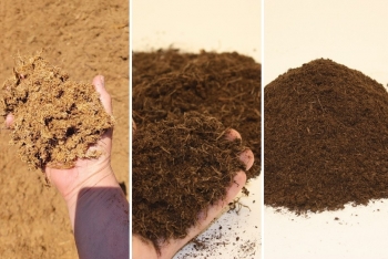Độ đồng nhất của giá thể quyết định hiệu quả sản xuất cây trồng