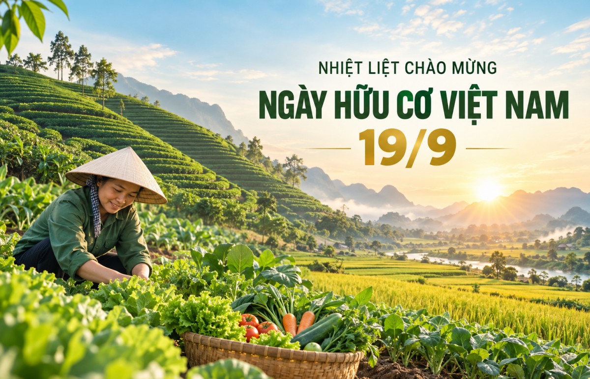 ngay huu co viet nam 199 hanh trinh vun dap niem tin va gia tri ben vung