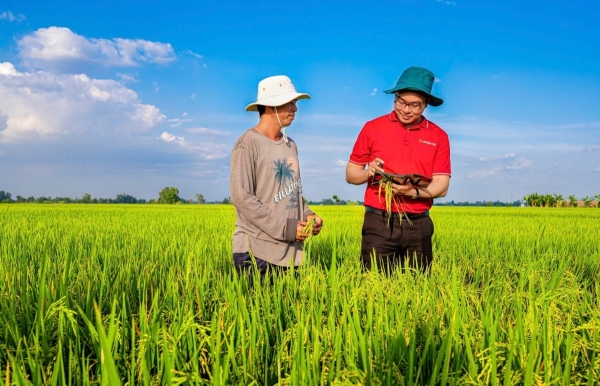 VOAA và Agribank thúc đẩy hợp tác, kết nối tín dụng cho nông nghiệp hữu cơ