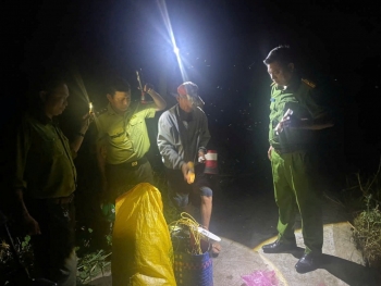 An Giang: Bắt quả tang 2 đối tượng bẫy chim hoang dã bằng lưới tàng hình