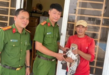 Người dân An Giang chủ động giao nộp chim diều hoa Miến Điện