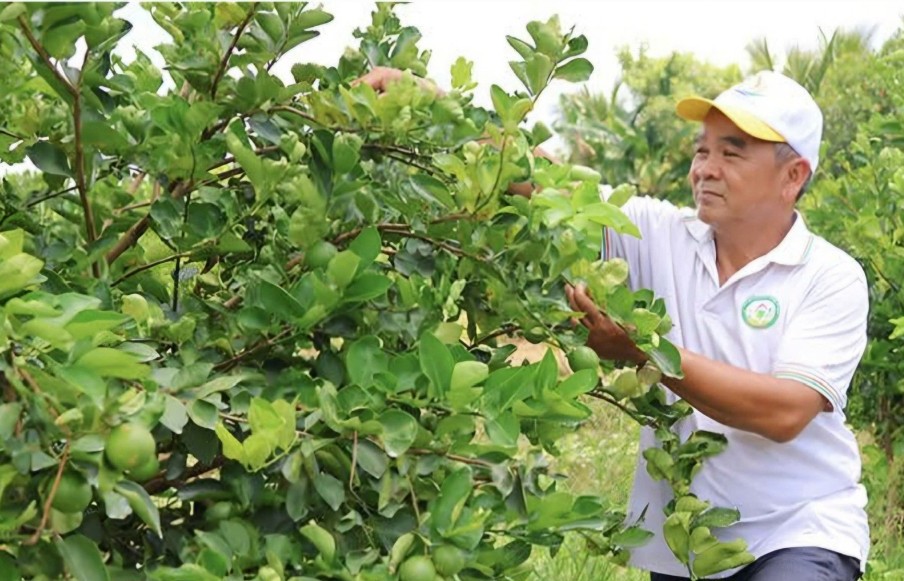 tu qua chanh den chuoi gia tri tuan hoan