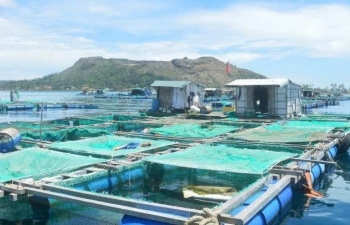 Đắk Lắk điều chỉnh Đề án nuôi trồng thủy sản lồng bè, hướng tới kinh tế biển phát triển