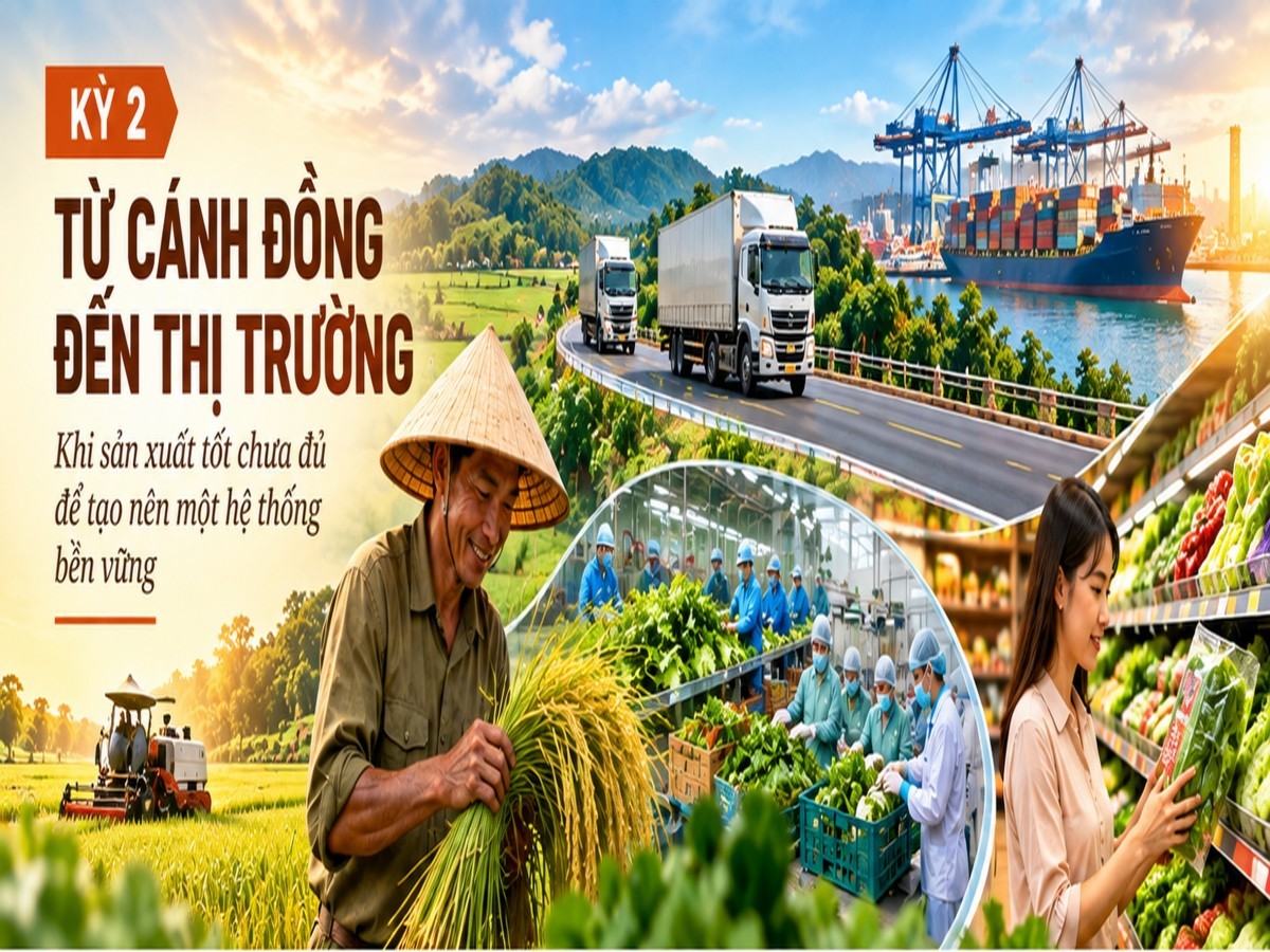 xay dung he thong luong thuc thuc pham ben vung ky 2 tu canh dong den thi truong