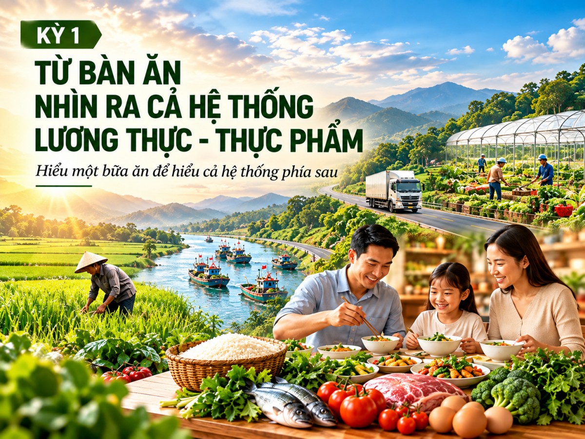 Xây dựng hệ thống lương thực, thực phẩm bền vững - Kỳ 1: Từ bàn ăn nhìn ra cả hệ thống
