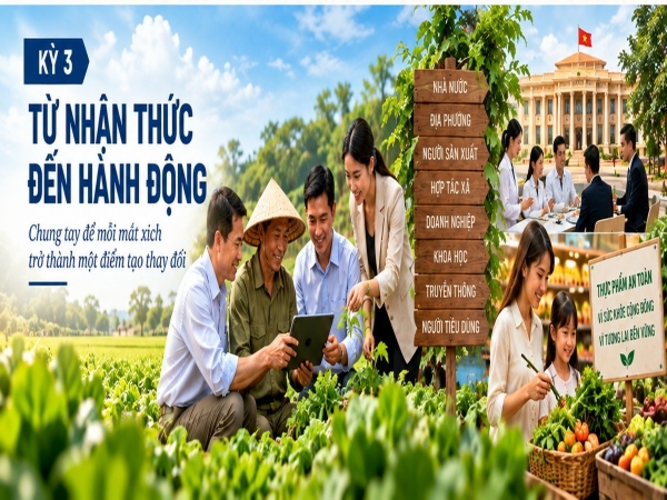 Xây dựng hệ thống lương thực, thực phẩm bền vững - Kỳ 3: Từ nhận thức đến hành động
