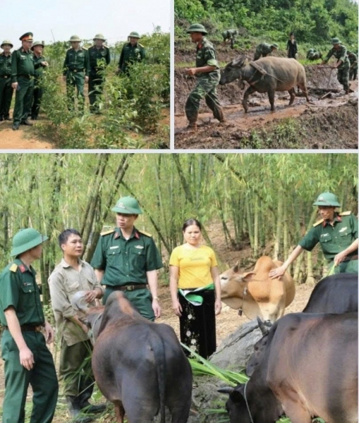 Tuyên truyền nâng cao nhận thức về Quân đội tham gia lao động sản xuất, kết hợp quốc phòng với kinh tế - xã hội