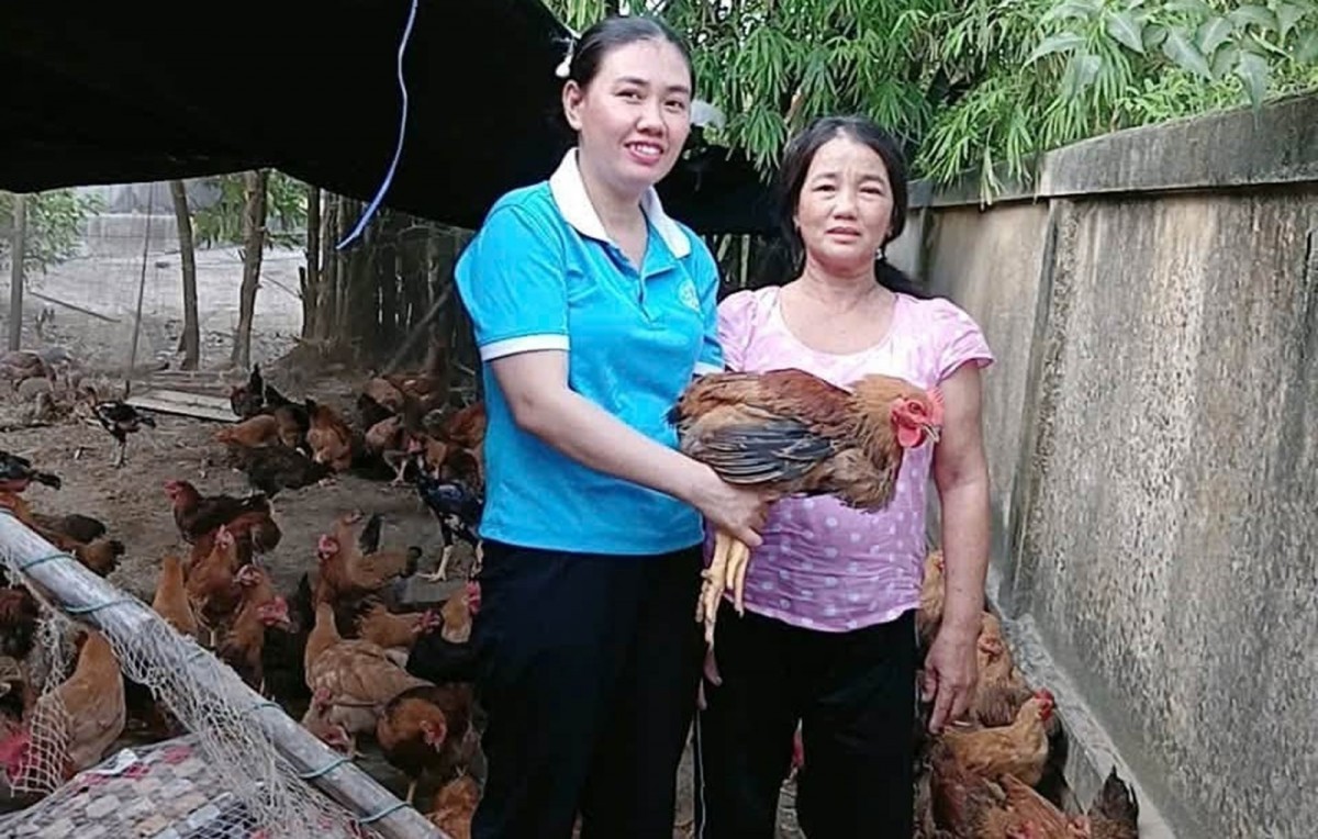 tin hieu tich cuc tu mo hinh nuoi ga thit tao dong luc thoat ngheo ben vung