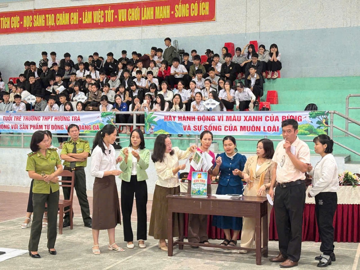 Hội thi 