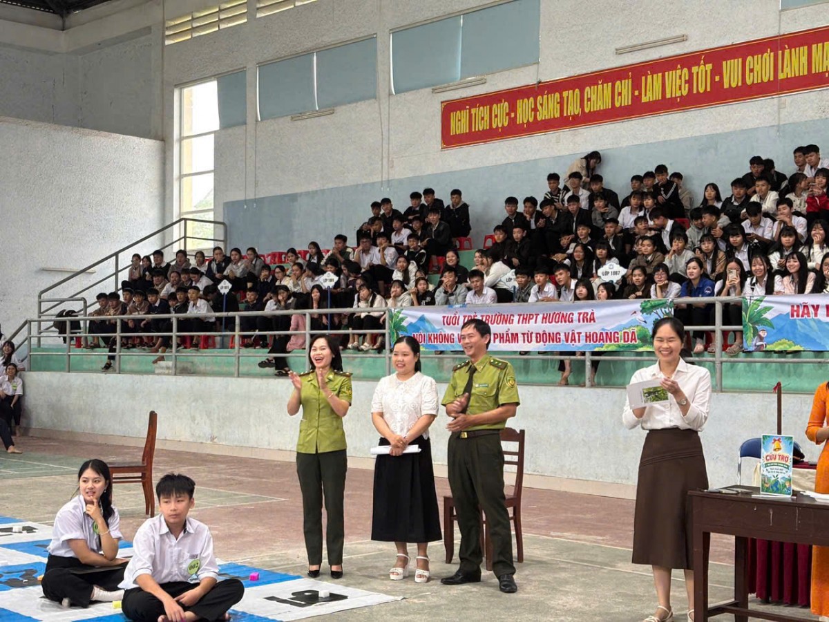 Hội thi 