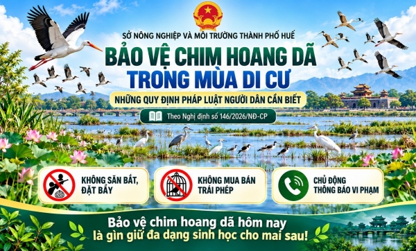 Xâm hại các loài động vật hoang dã có thể bị truy cứu trách nhiệm hình sự