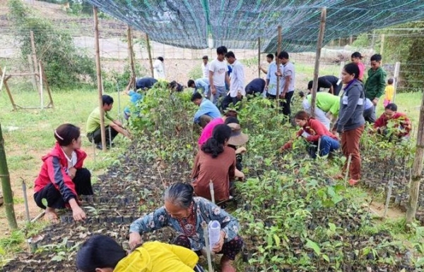 Phát triển sinh kế bền vững gắn với bảo vệ rừng và văn hóa Bru - Vân Kiều