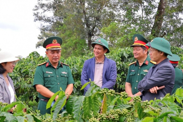 Phát triển kinh tế tuần hoàn hướng tới sản xuất cà phê hữu cơ bền vững