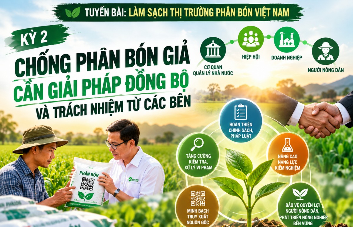 lam sach thi truong phan bon viet nam ky 2 can giai phap dong bo