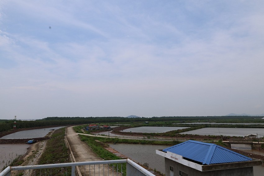 Thanh Hóa ứng phó xâm nhập mặn - Bài 2: Giữ ngọt, hồi sinh đất sản xuất vùng ven biển