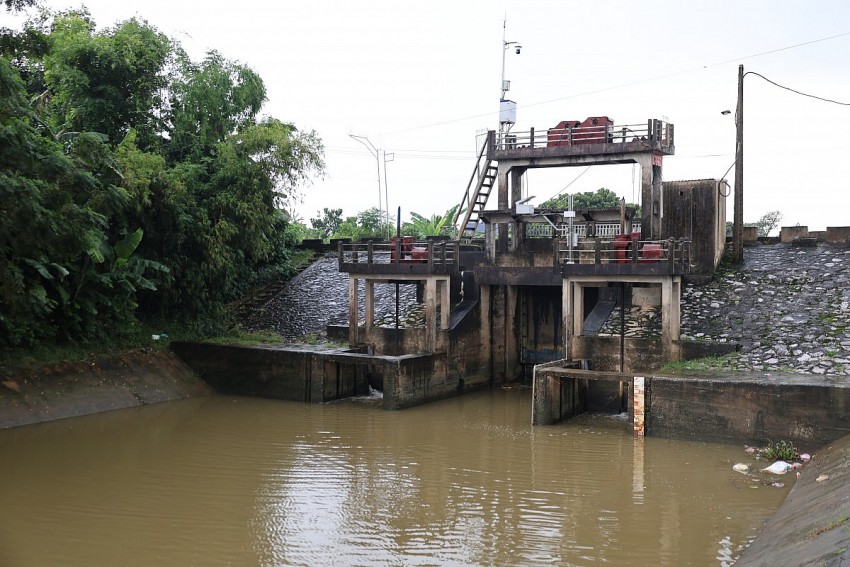Thanh Hóa ứng phó xâm nhập mặn - Bài 1: Canh con nước, giữ nguồn ngọt giữa mùa mặn