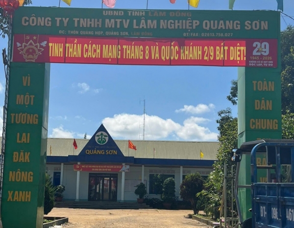 Xử phạt Công ty Lâm nghiệp Quảng Sơn vì hành vi tự ý chuyển đổi đất rừng sản xuất