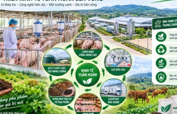 Đắk Lắk khai thác hiệu quả phụ phẩm chăn nuôi để phát triển phân bón hữu cơ