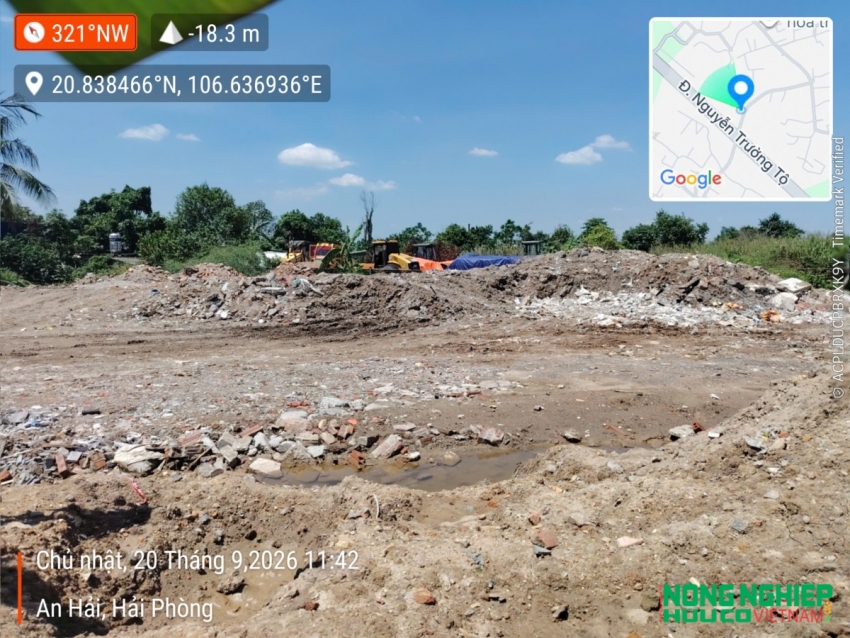 Hải Phòng: Nguy cơ ô nhiễm môi trường và suy thoái đất nông nghiệp tại phường An Hải