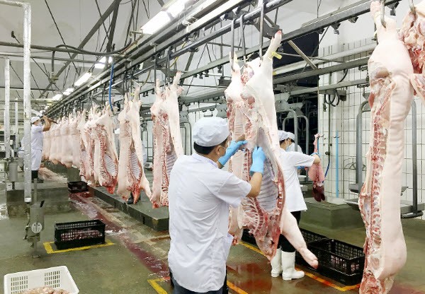 58 thông báo SPS liên quan đến an toàn thực phẩm và kiểm dịch