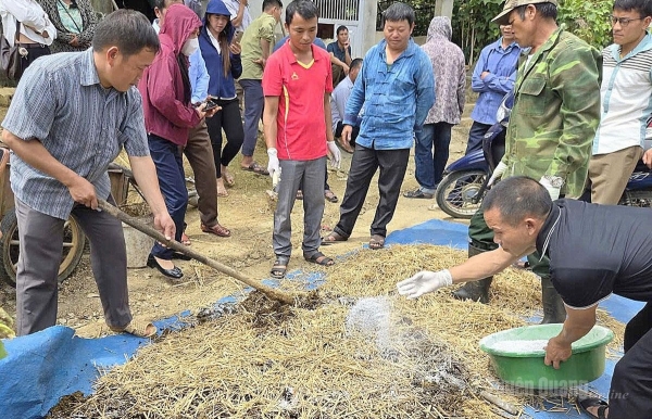 Nâng cao năng lực sản xuất nông nghiệp cho 150 học viên tại Tuyên Quang