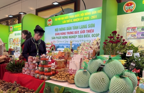 Nông nghiệp tri thức đưa nông sản Việt vươn tầm quốc tế