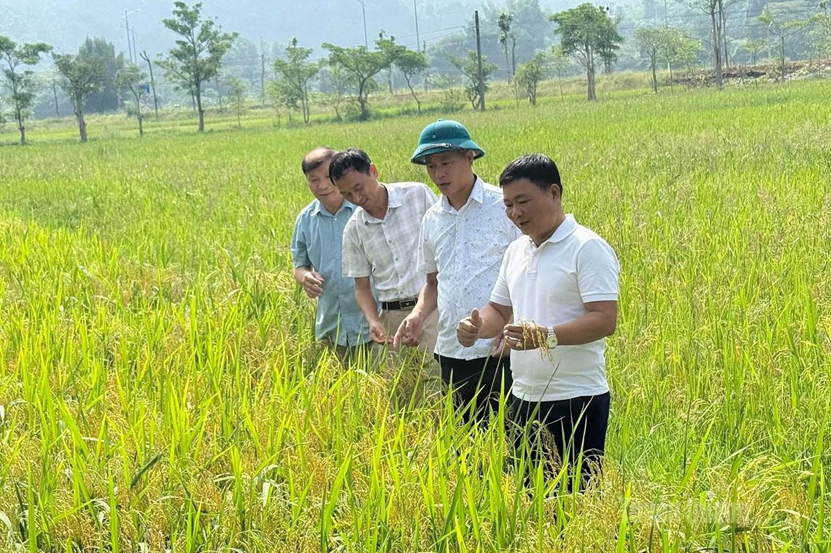 Từ quyết sách đúng đến chuyển biến thực chất trong phát triển nông nghiệp