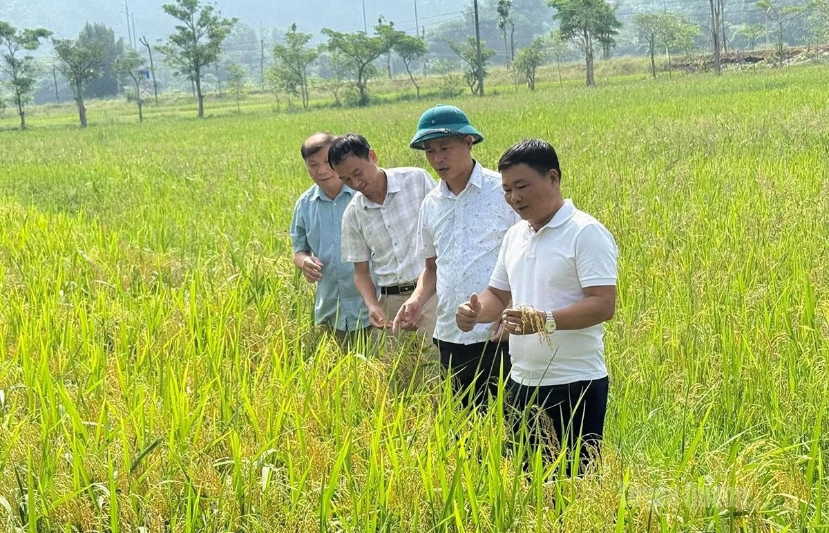 tu quyet sach dung den chuyen bien thuc chat trong phat trien nong nghiep
