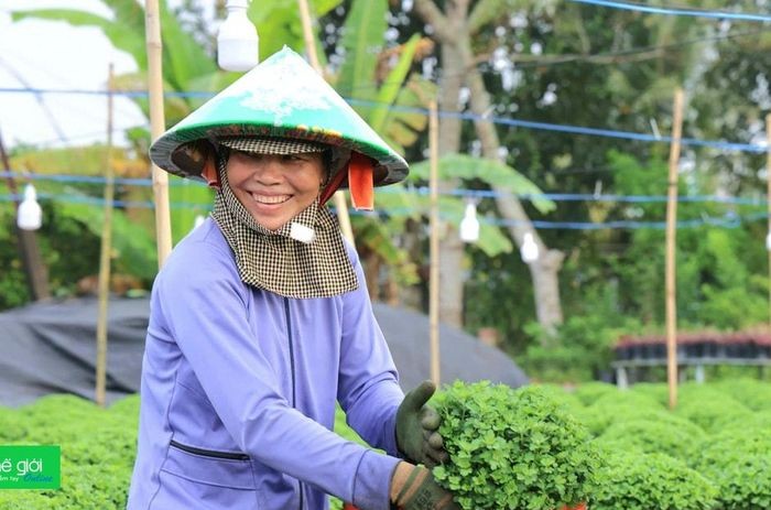 Kinh tế tuần hoàn ở ĐBSCL: Tiềm năng lớn nhưng chỉ "dám" đầu tư nhỏ