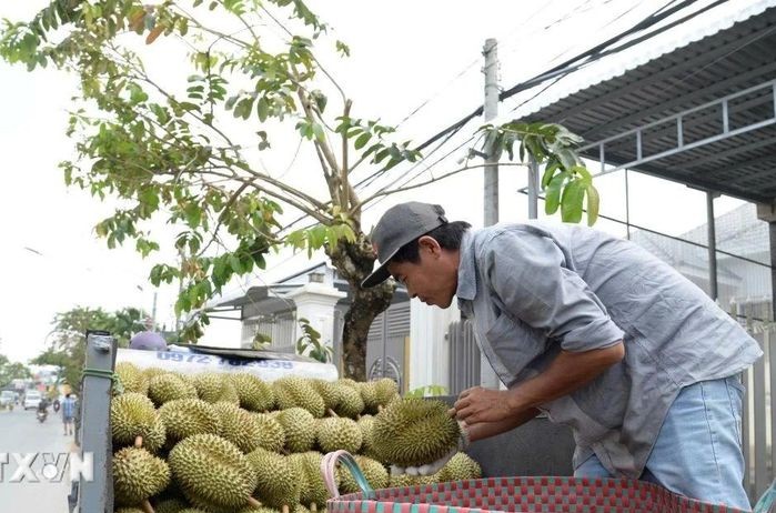 Phát triển các ngành hàng chủ lực ở tỉnh Đồng Tháp: Hình thành chuỗi giá trị mới, sức cạnh tranh cao