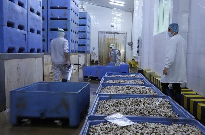 An toàn thực phẩm nông lâm thủy sản 2025: Tỷ lệ mẫu đạt yêu cầu chạm mốc 97,8%