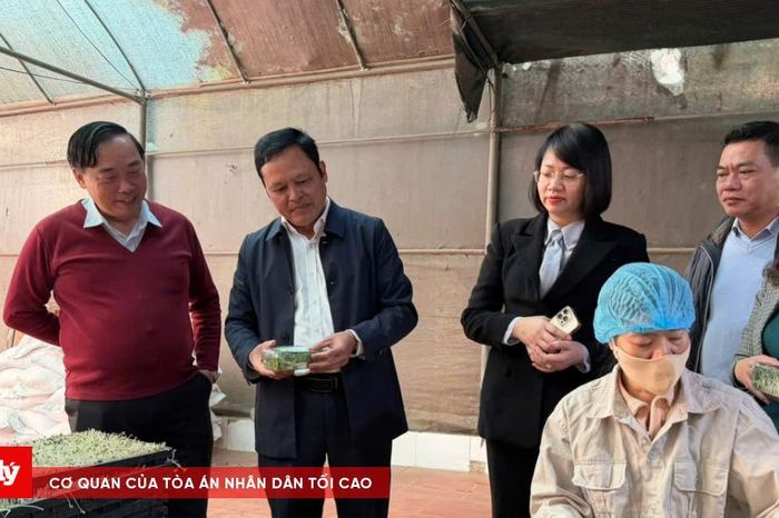 Hà Nội chủ động nguồn cung nông sản, thực phẩm phục vụ Tết Nguyên đán 2026