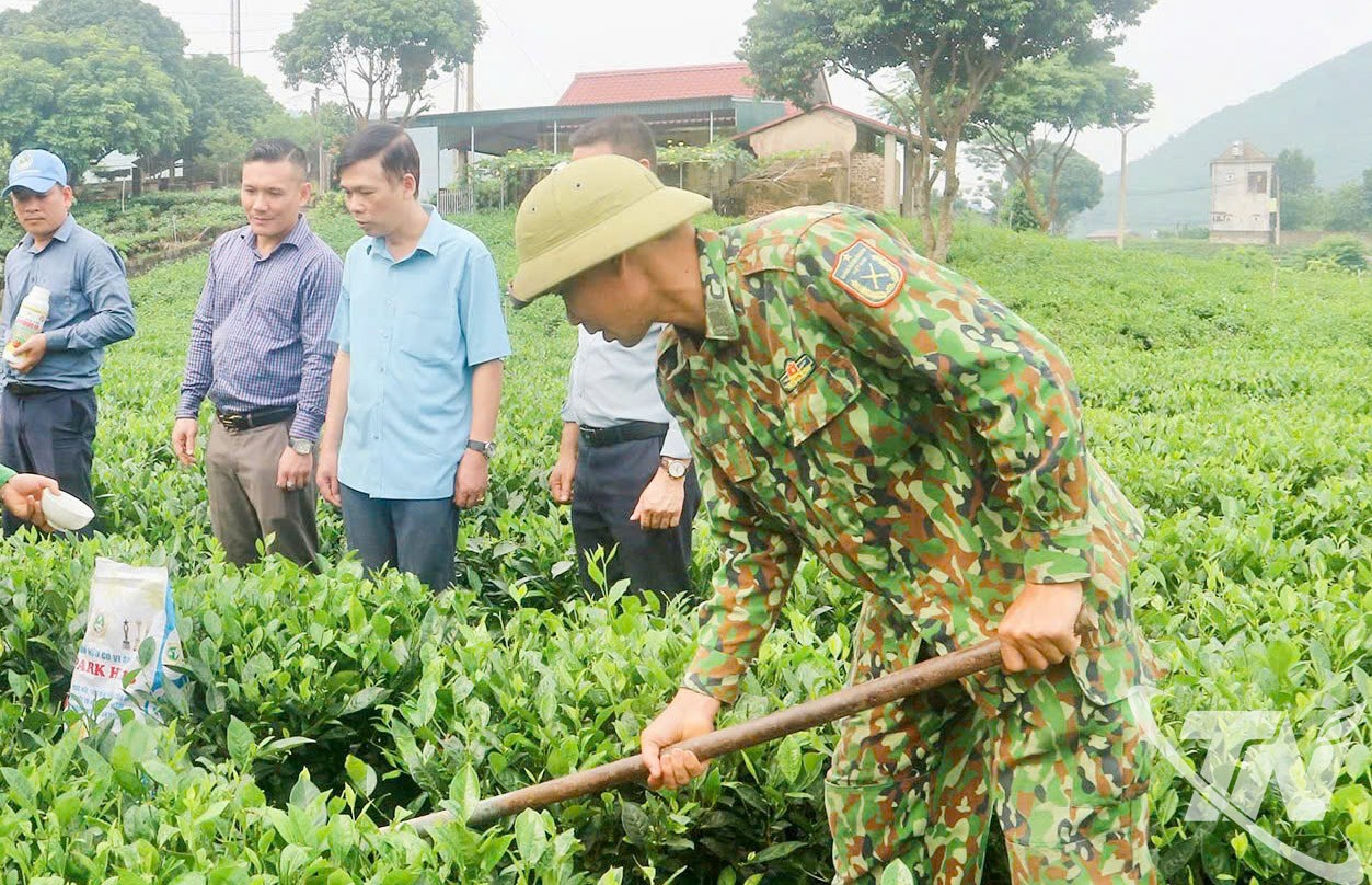 Hướng đi bền vững từ nông nghiệp sinh thái