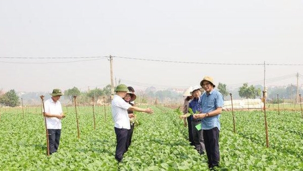 Hà Nội đẩy mạnh số hóa quản lý an toàn thực phẩm và truy xuất nguồn gốc nông sản