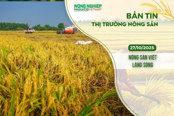 Thị trường nông sản 27/10/2025: Nông sản trong nước giữ trạng thái ổn định