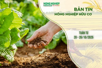 Bản tin Nông nghiệp hữu cơ, tuần từ 20 - 26/10/2025