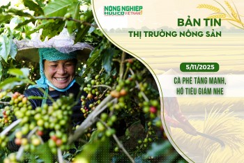 Thị trường nông sản 5/11/2025: Cà phê tăng mạnh, hồ tiêu giảm nhẹ